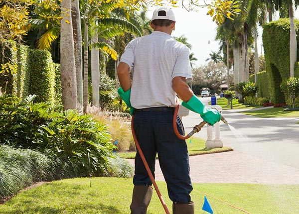 About Walton NY Pest Control